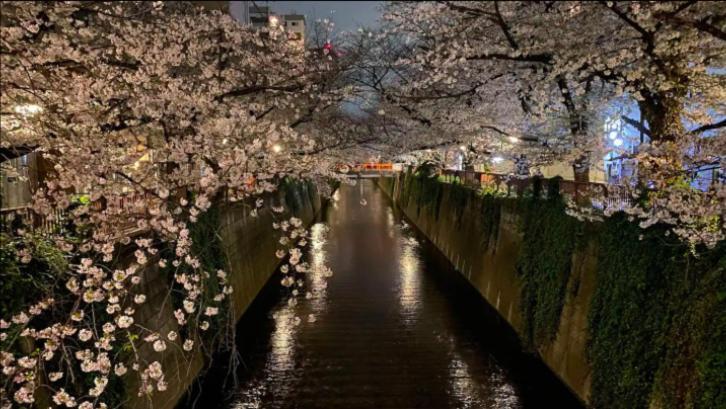Апартаменты Tsunoya Токио Экстерьер фото